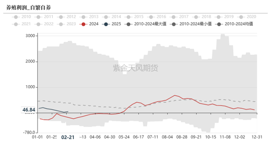 玉米：上行趋势仍存  第35张